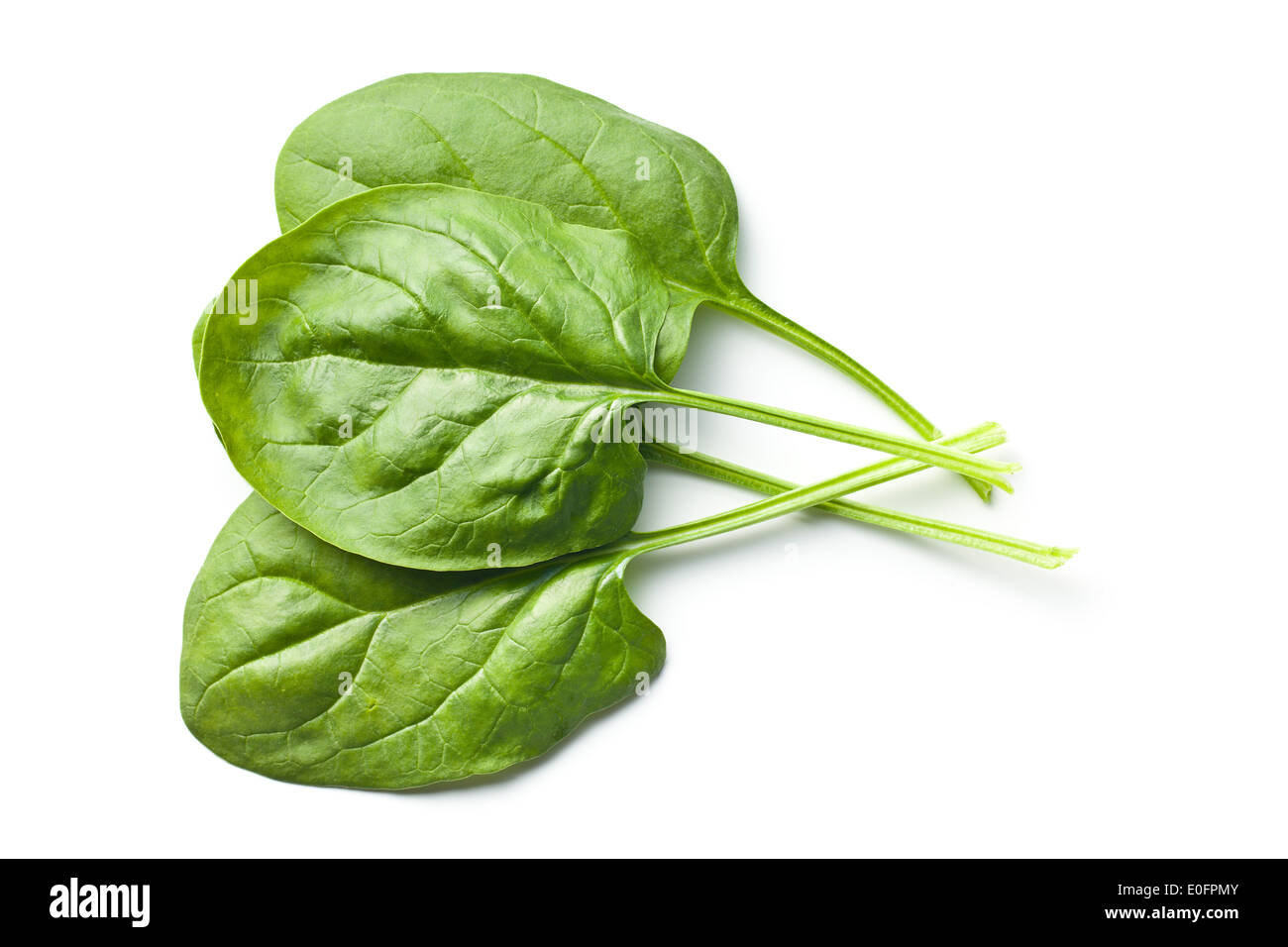 green spinach leaves on white background Stock Photo