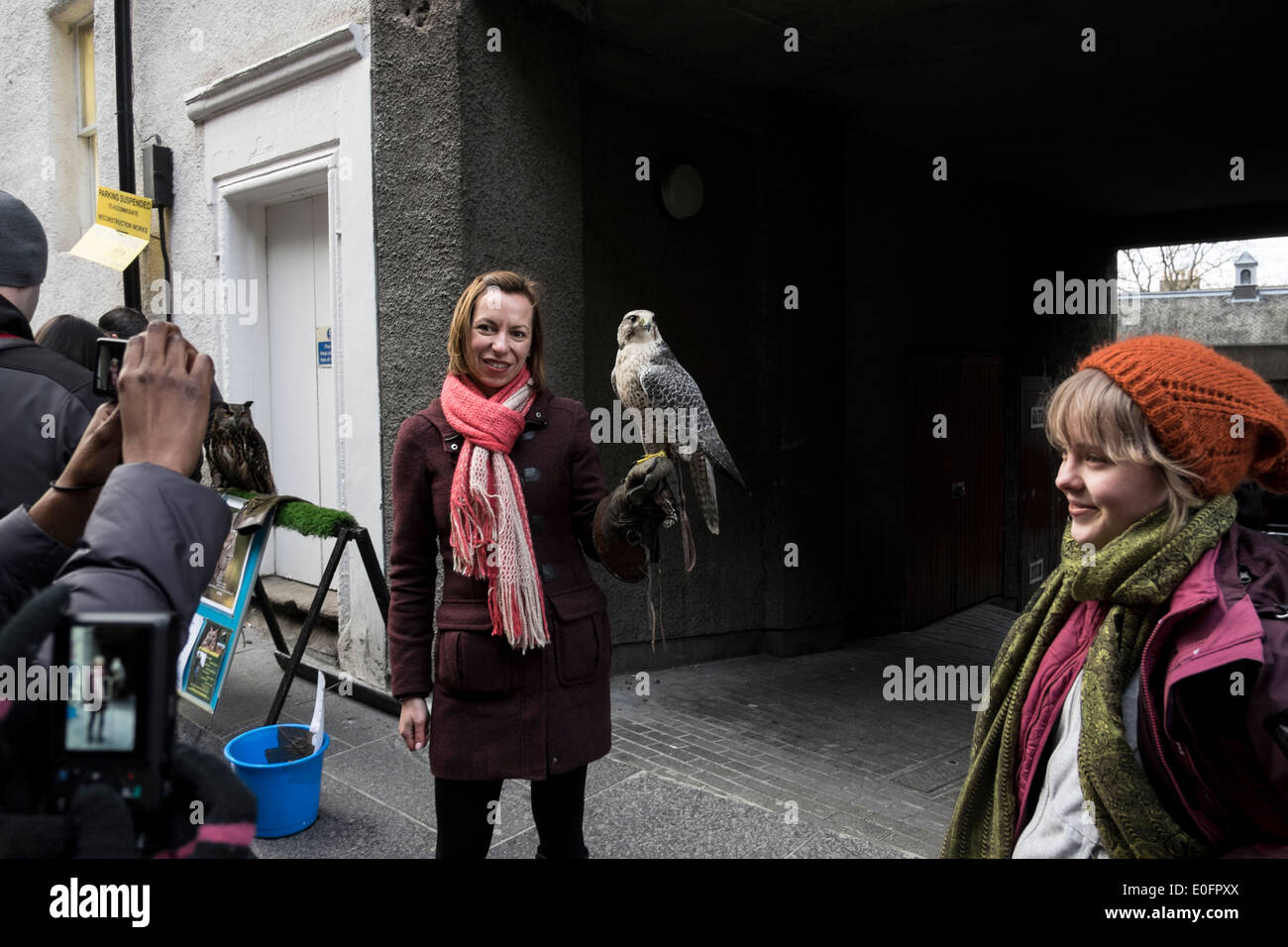 owl Edinburgh touristic attraction tourists Stock Photo