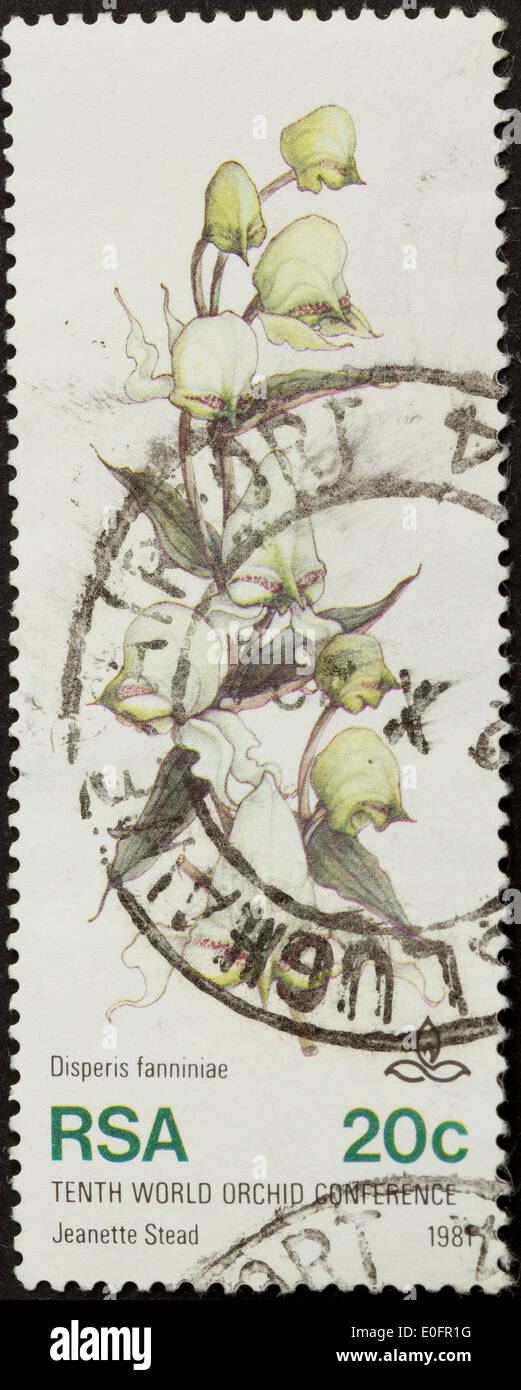 RSA - 1981: Stamp printed in the Republic of South Africa shows a picture of an orchid, 1981 Stock Photo