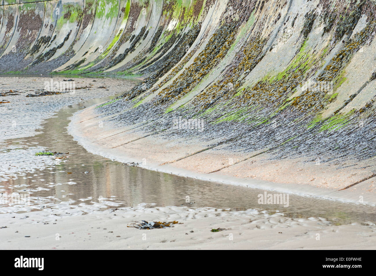 Part of sea wall defense on an english seaside beach with seaweed algae growing Stock Photo