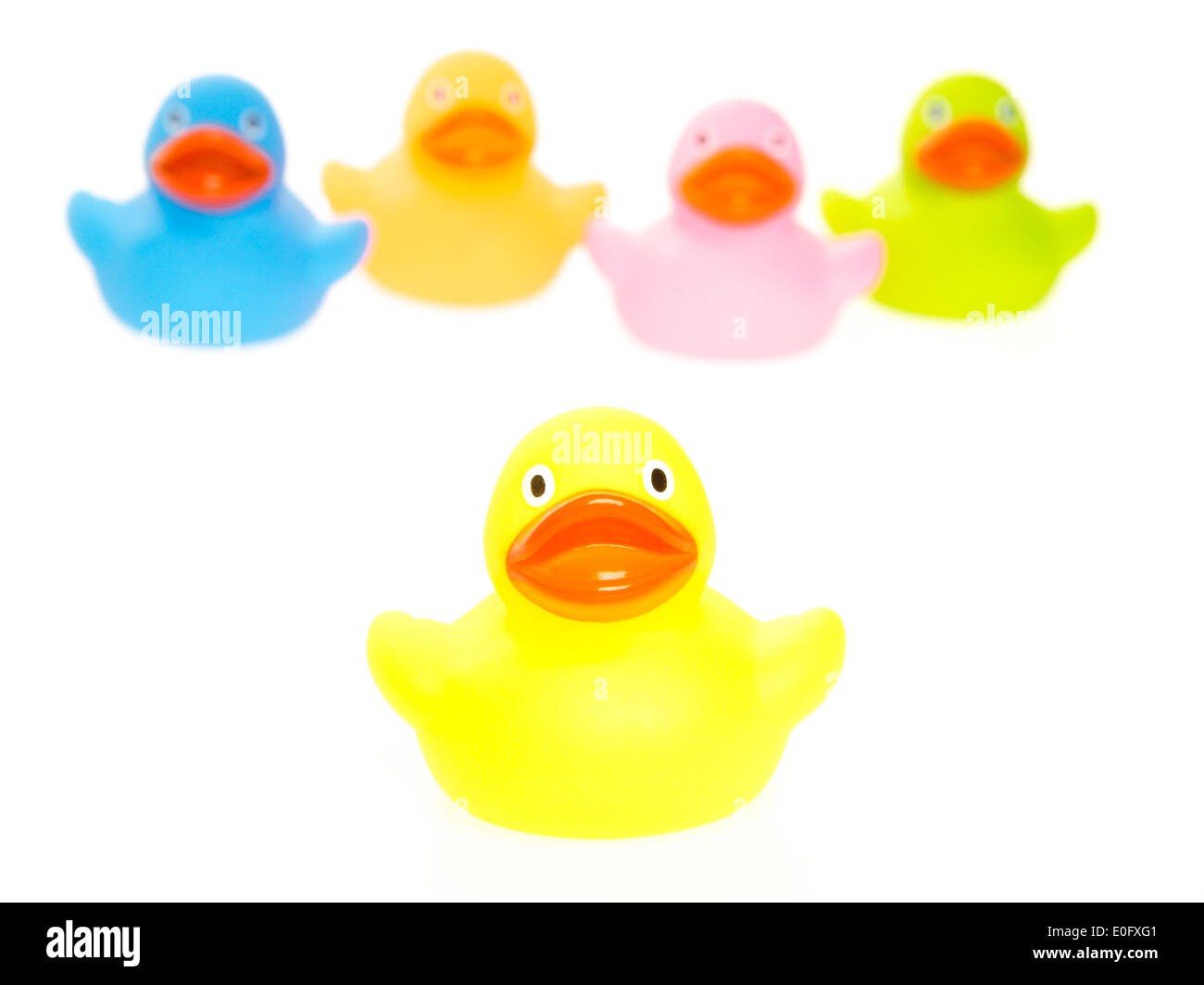 Rubber ducks isolated on a white background Stock Photo - Alamy