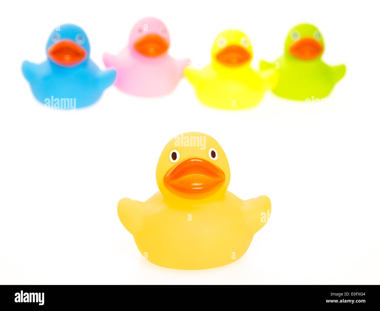 Rubber ducks isolated on a white background Stock Photo - Alamy