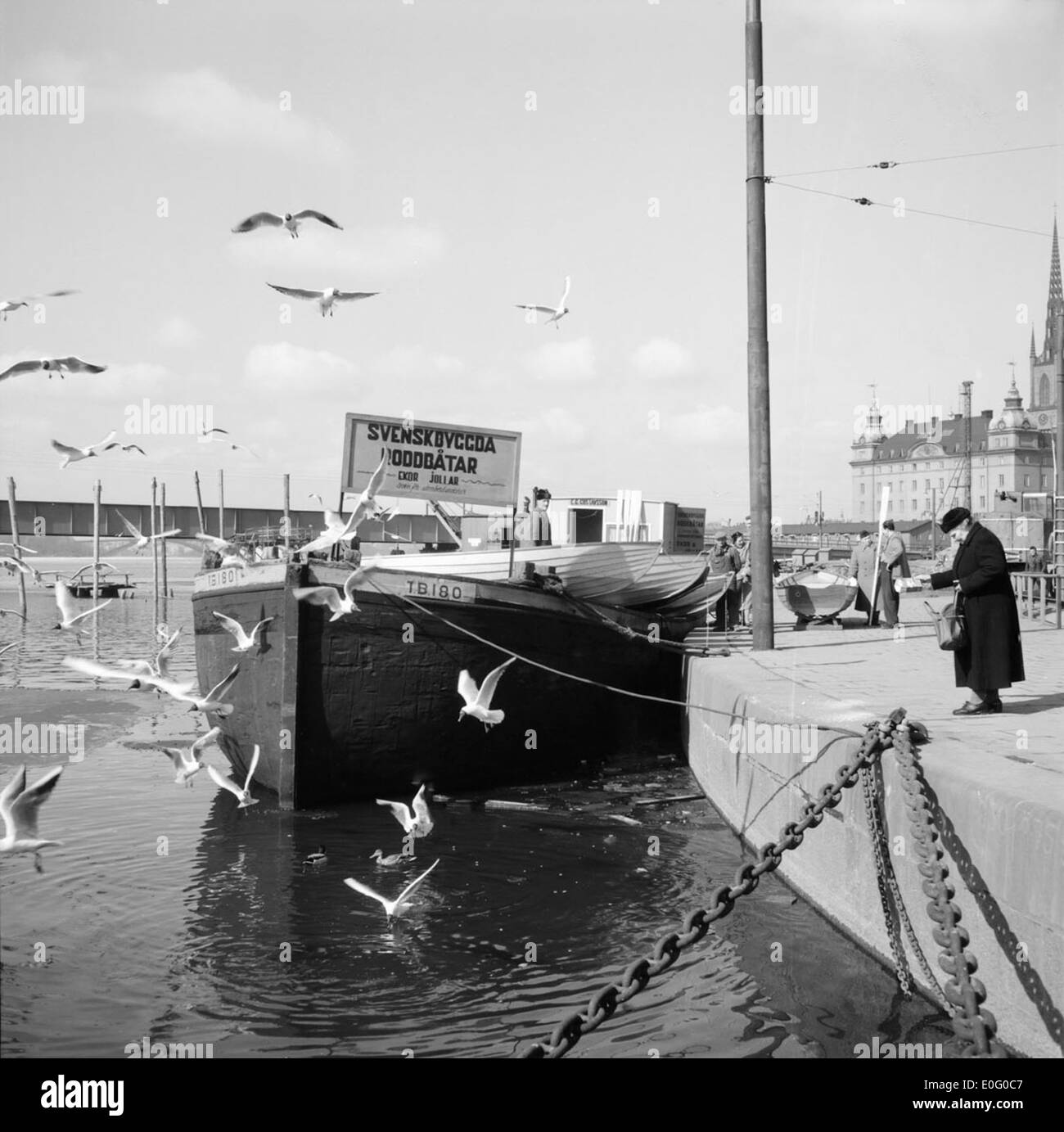 Woman feeding waterfowl in Stockholm in 1955 Stock Photo