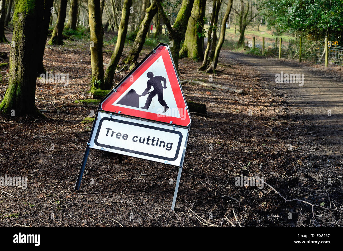 Tree cutting warning sign in woods Stock Photo