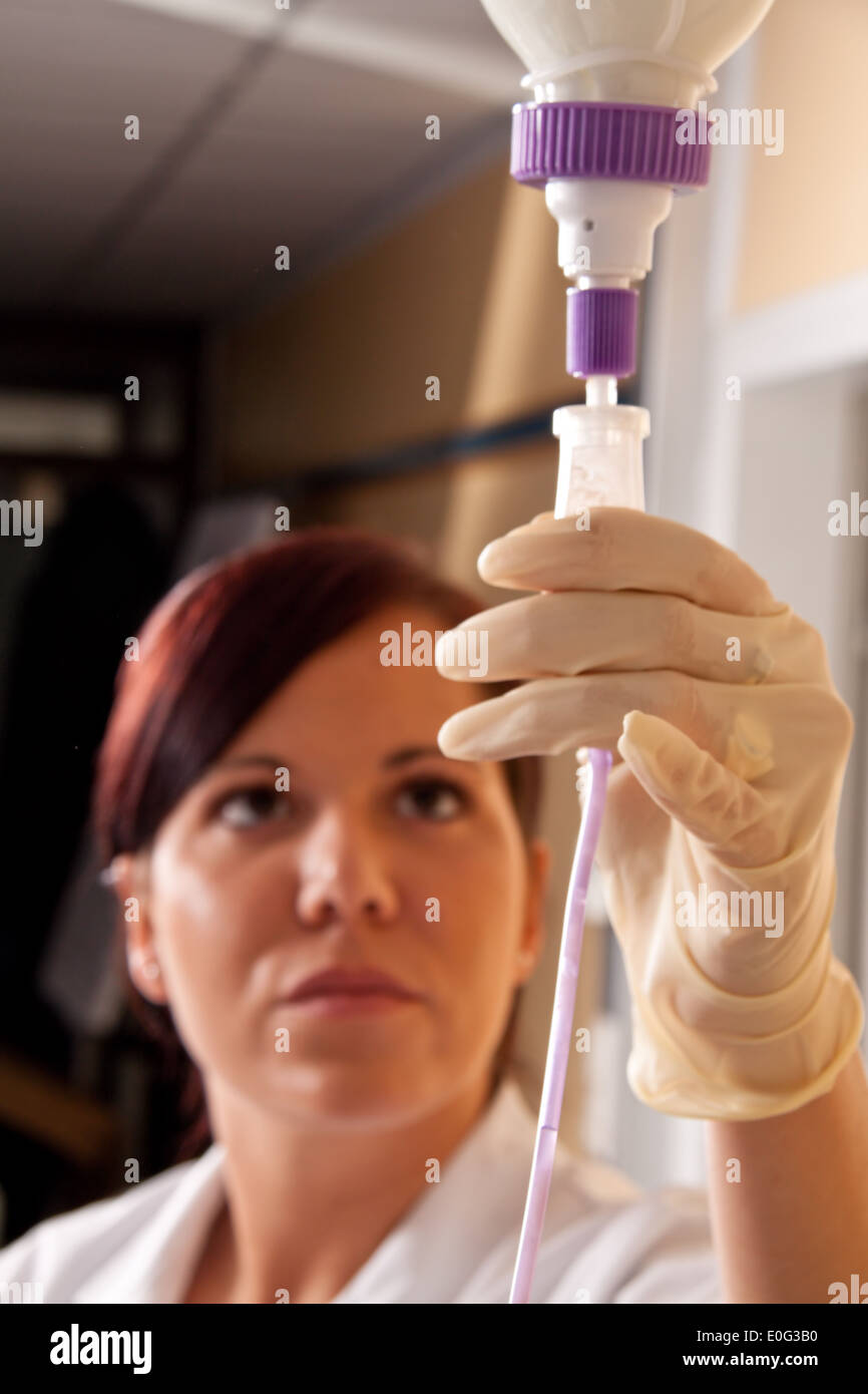 A nurse gives a drip to a patient hires stock photography and images