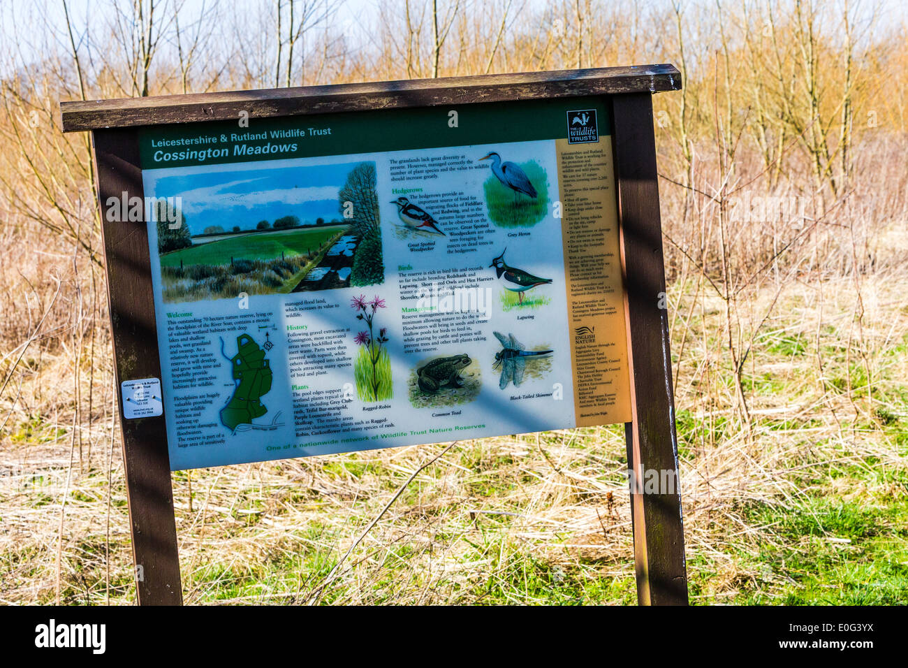 Leicestershire & Rutland Wildlife Trust Information Sign at Cossington Meadows in Leicestershire Stock Photo