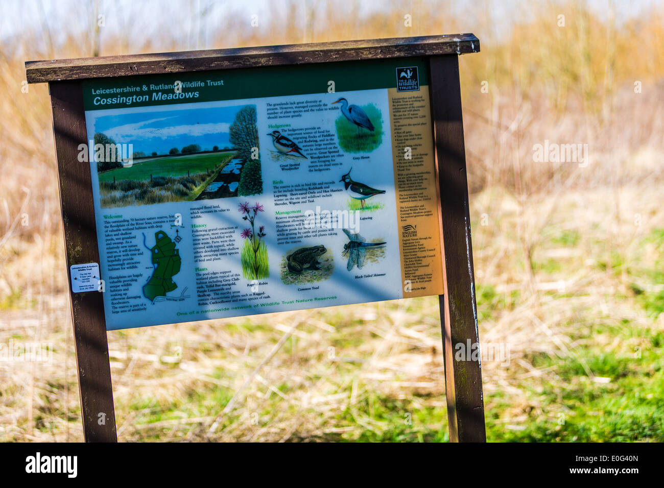 Leicestershire & Rutland Wildlife Trust Information Sign at Cossington Meadows in Leicestershire Stock Photo
