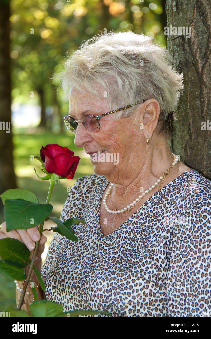 Happy older senior smells in a red rose., Froehliche aeltere Seniorin riecht an einer roten Rose. Stock Photo
