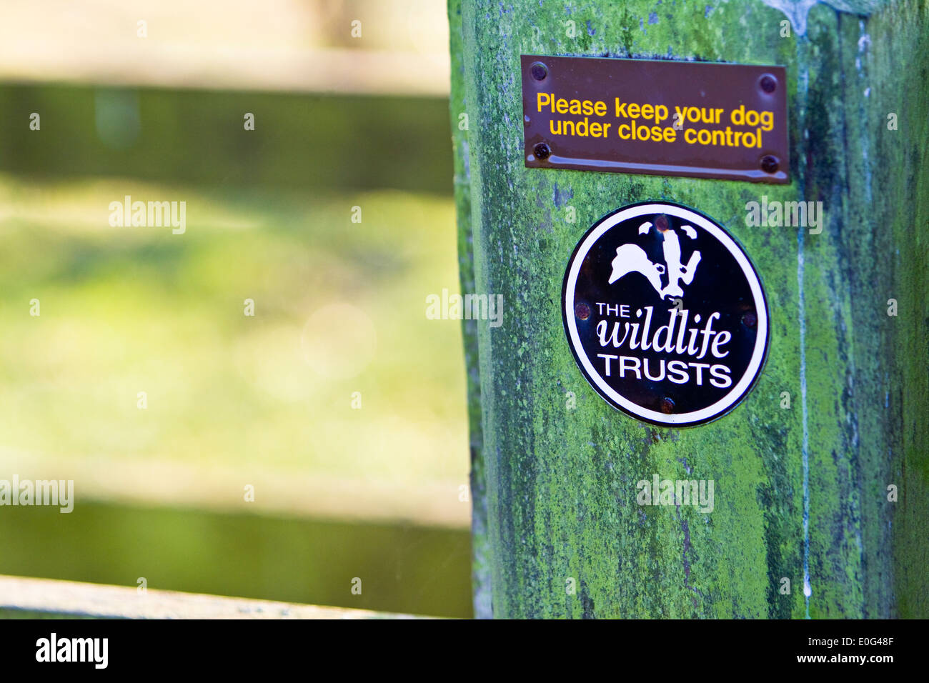 The Wildlife Trusts Information Sign at Cossington Meadows in Leicestershire Stock Photo