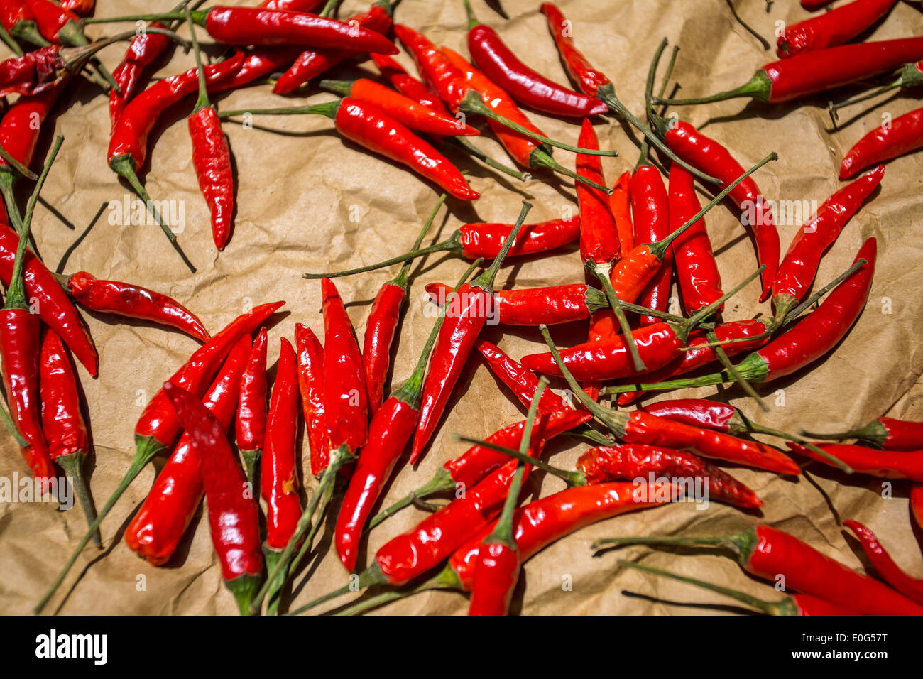 Red chilli pepper drying in the sun Stock Photo