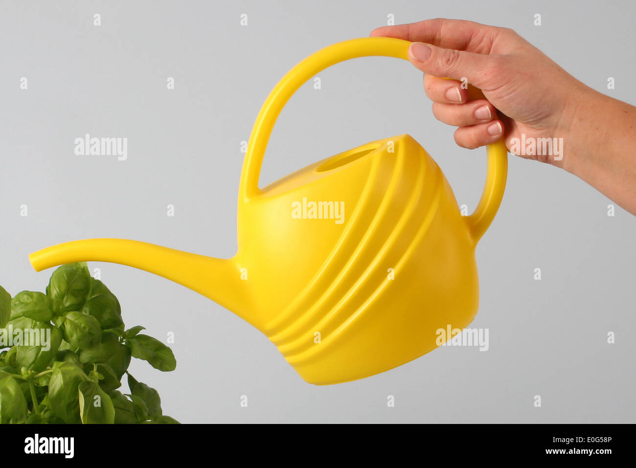 yellow watering can, container, container, things, vessel, vessels, vessel, vessels, Gefass, Gefasse, object, objects, pour, wat Stock Photo