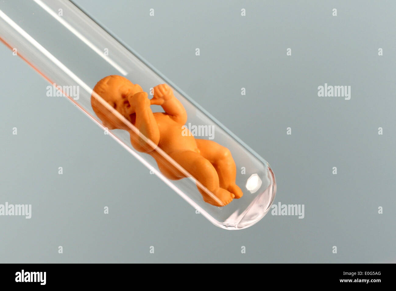 Test-tube baby, effigy, alike, resemblance, alike, resemblance, appearance, concepts, biologically, biological, to biological, m Stock Photo