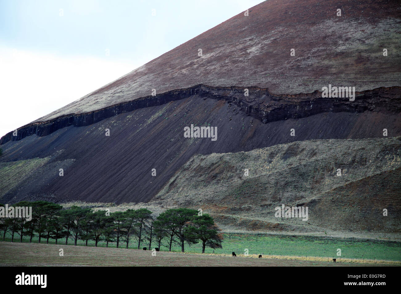 Mount Elephant Derrinallum South Western Victoria Australia Ancient