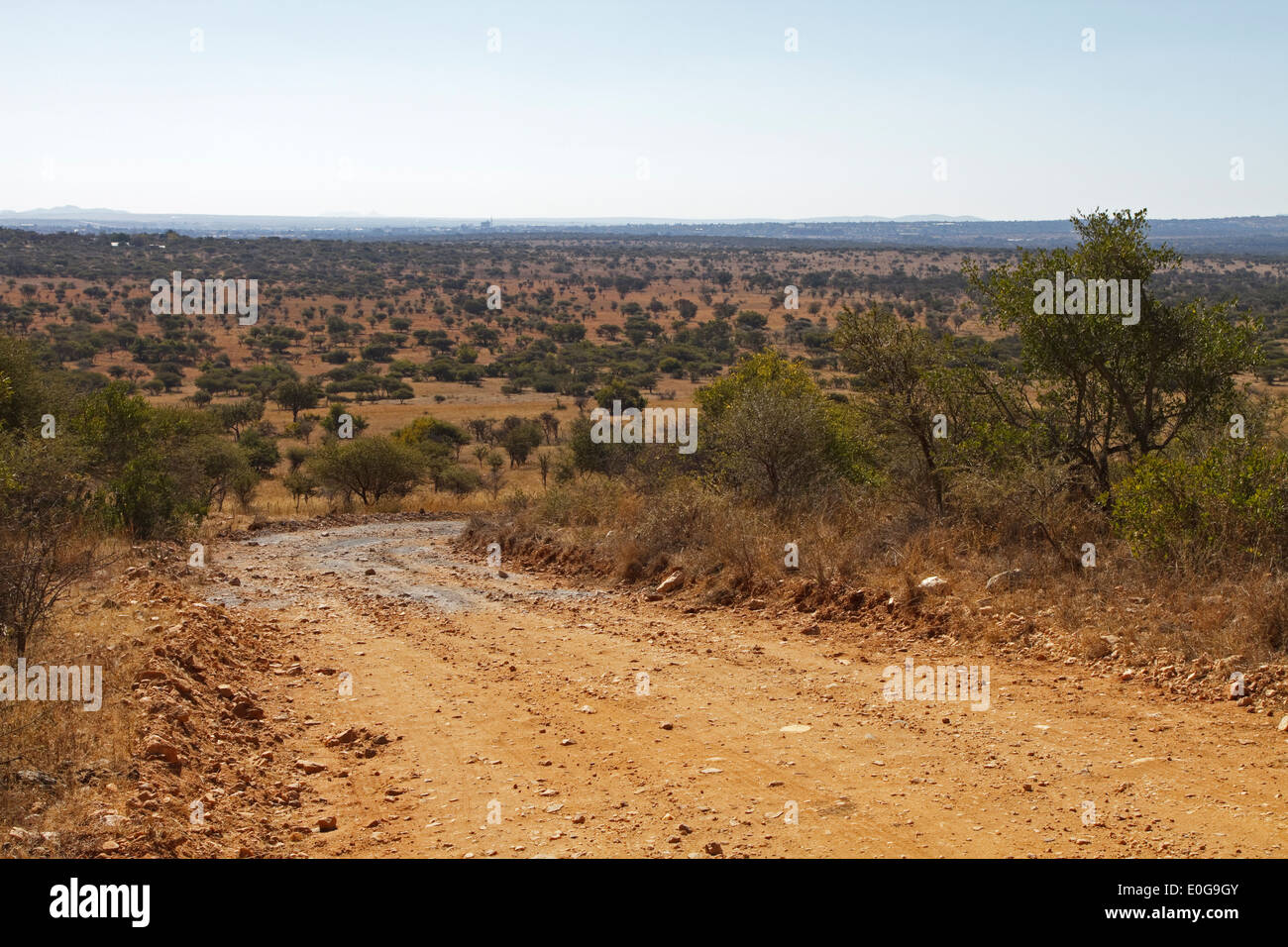 View over Polokwane game reserve, Limpopo, South Africa Stock Photo