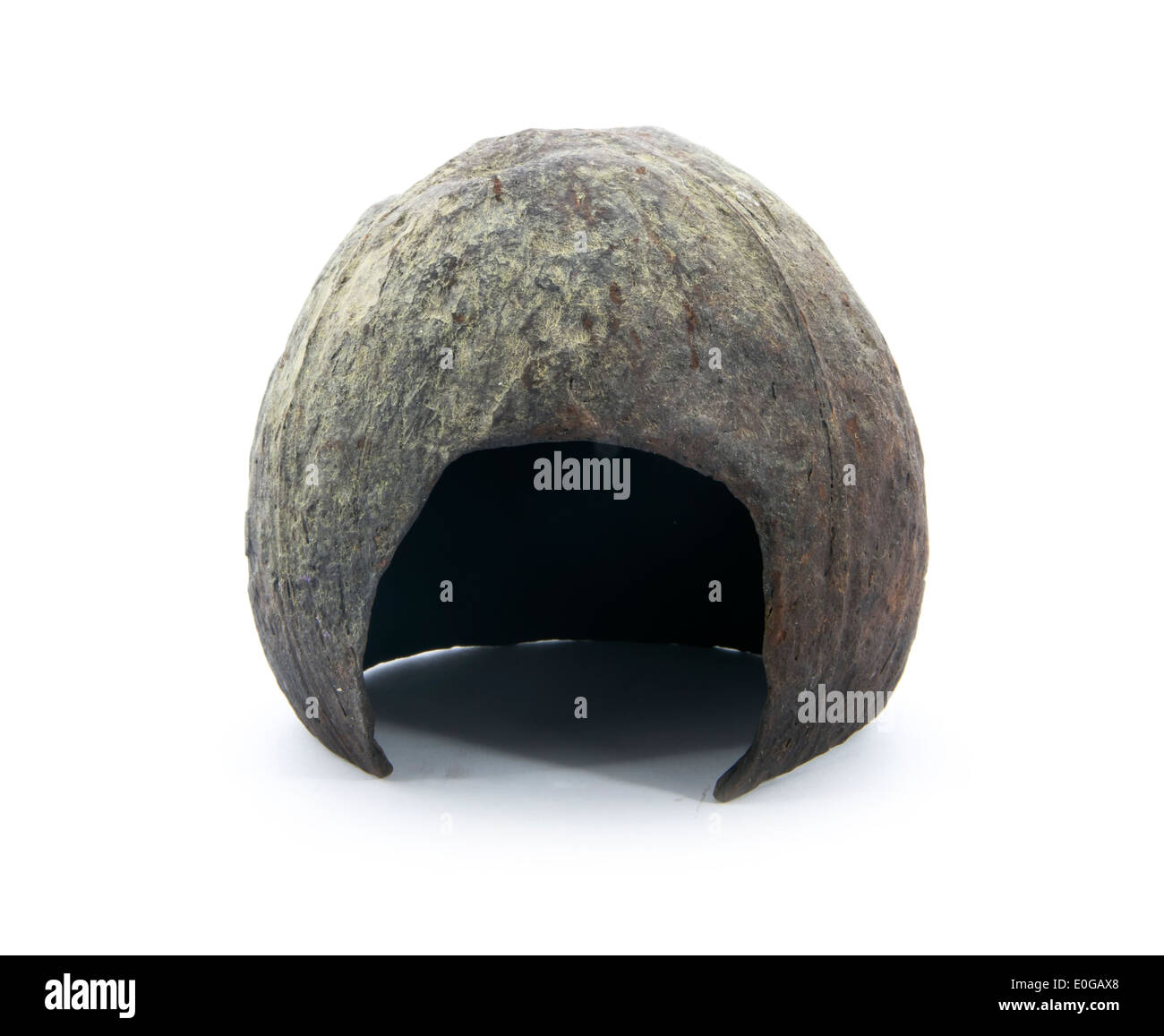 hamster house made of coconut shell isolated on white background Stock Photo
