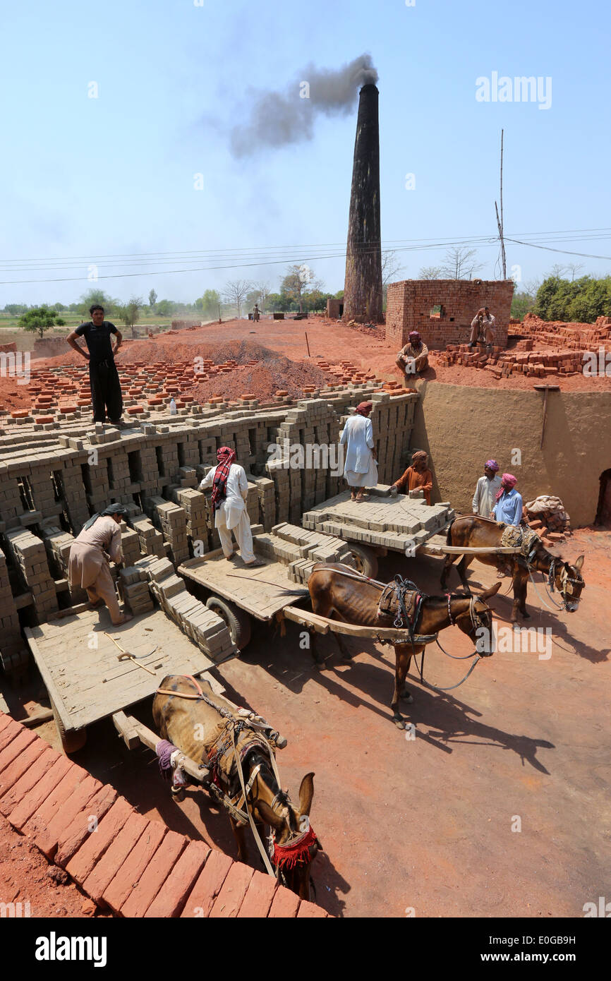 Donkey carts getting unloaded of bricks in a brick kiln of a brick factory, Lahore, Punjab, Pakistan, Asia Stock Photo