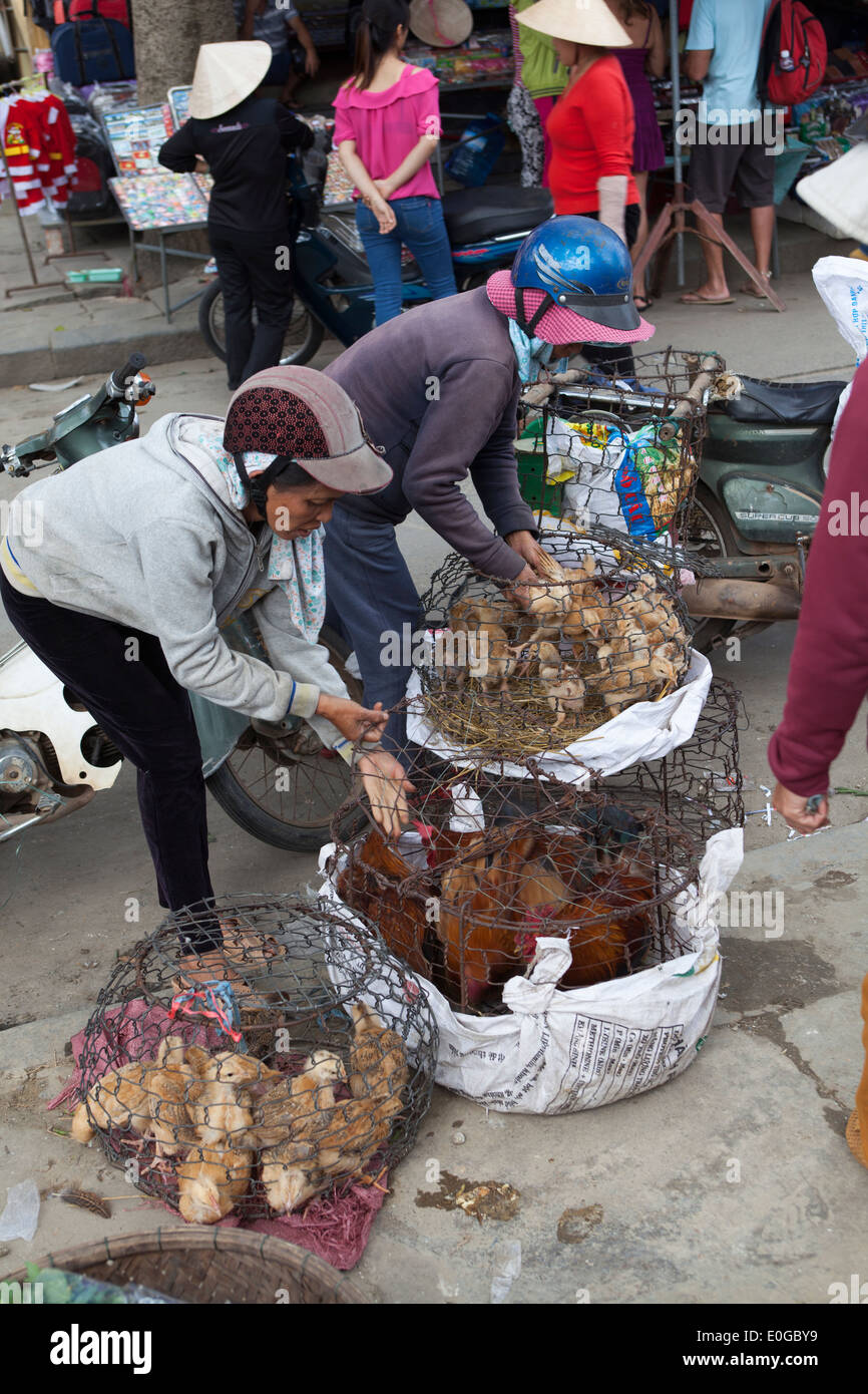 Caged Birds on Sale at Market in Old Town Hoi An Stock Photo