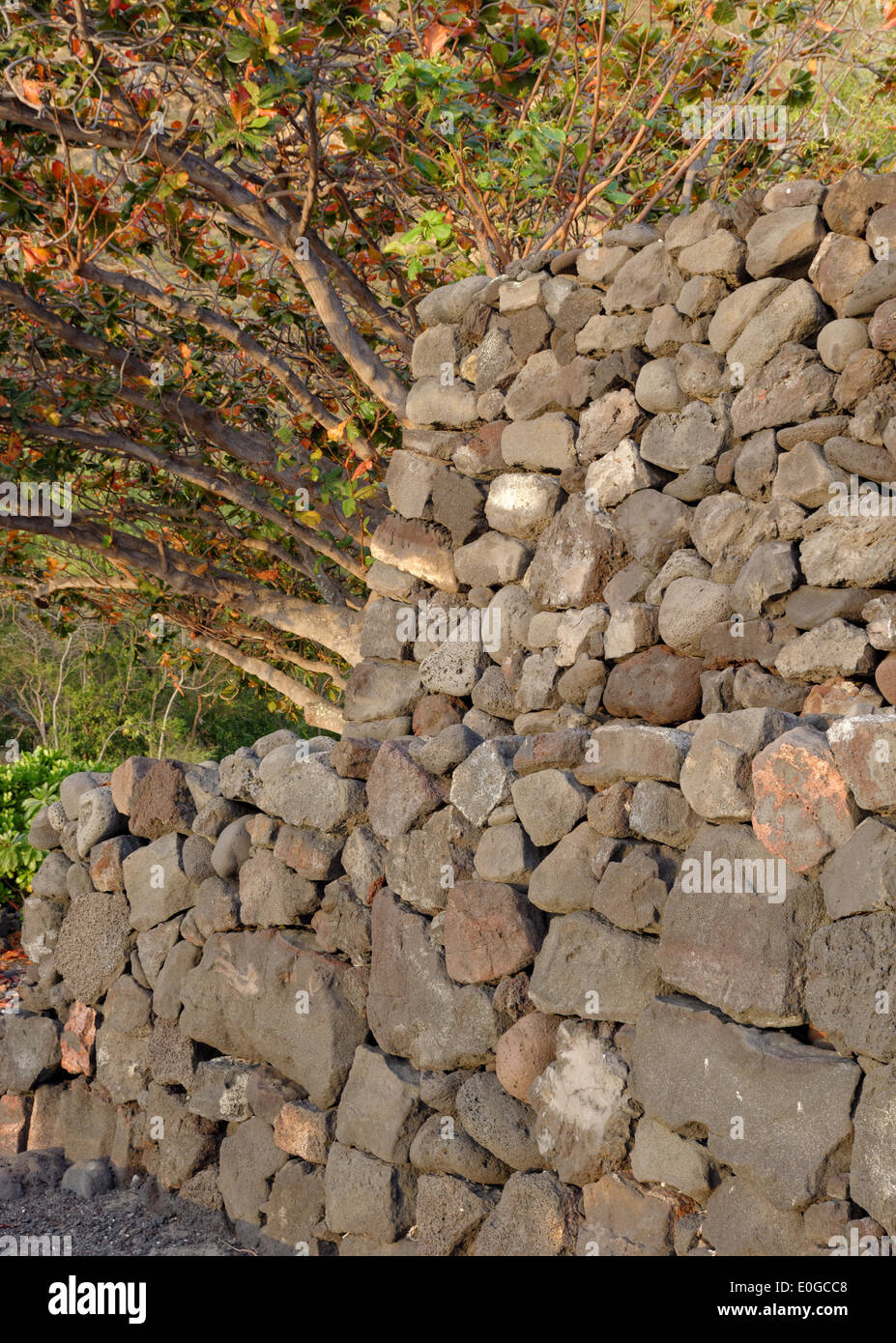 Hikiau Heiau, Kealakekua Bay, Captain Cook, Kailua Kona, Big Island, Hawaii, USA Stock Photo