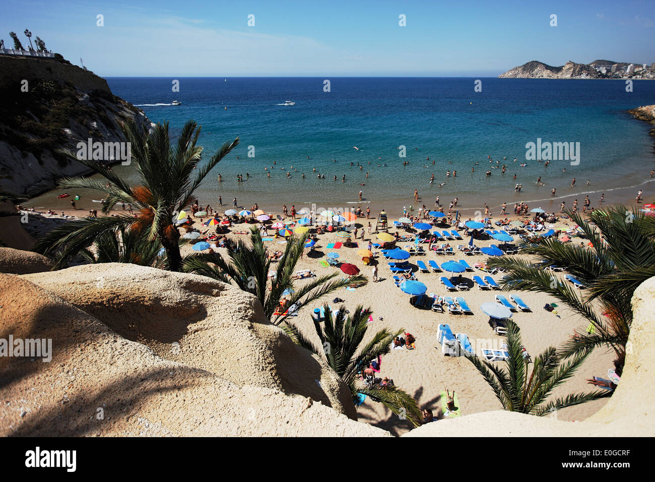 Palm beach with a sea view, Beach life, Costa Blanca, Benidorm, Province Alicante, Spain Stock Photo