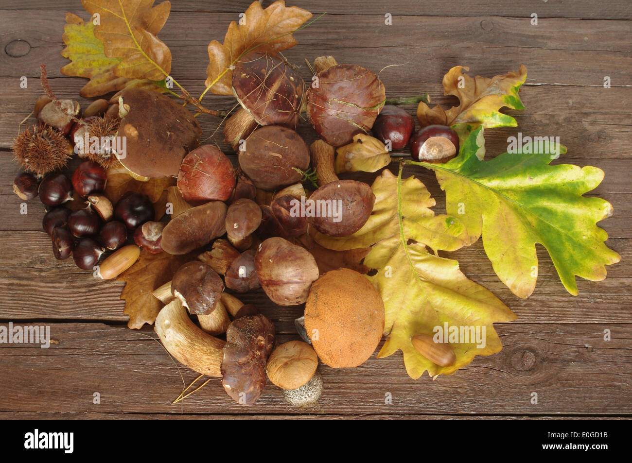 fruit of autumn on old board Stock Photo