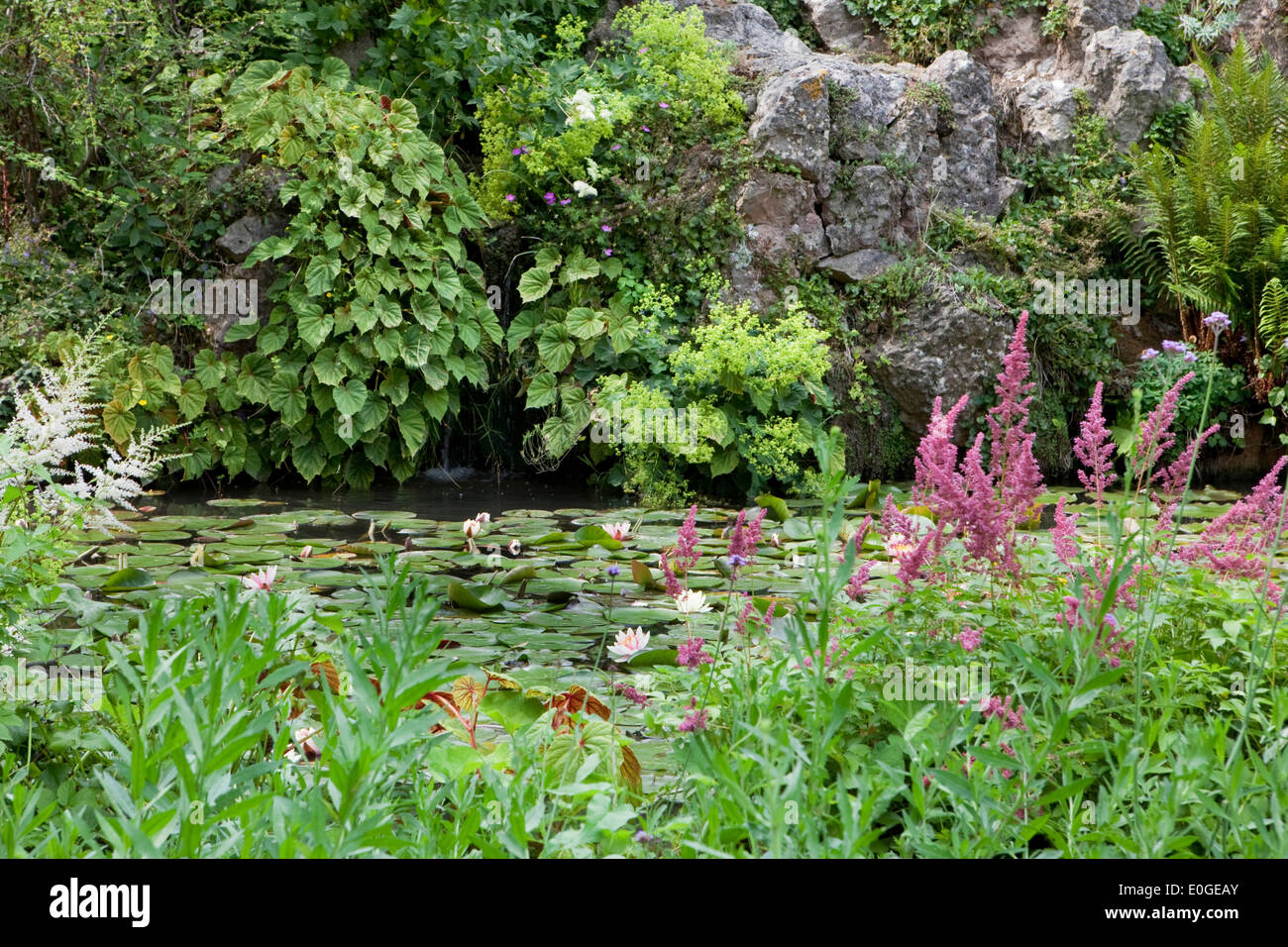 Pond with water lilies at Andre Hellers' Garden, Giardino Botanico, Gardone Riviera, Lake Garda, Lombardy, Italy, Europe Stock Photo