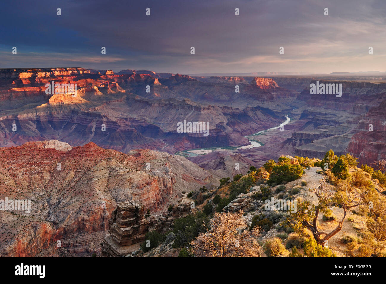 Grand Canyon under clouded sky, Desert View Point, Grand Canyon National Park, UNESCO World Heritage Site Grand Canyon, Arizona, Stock Photo