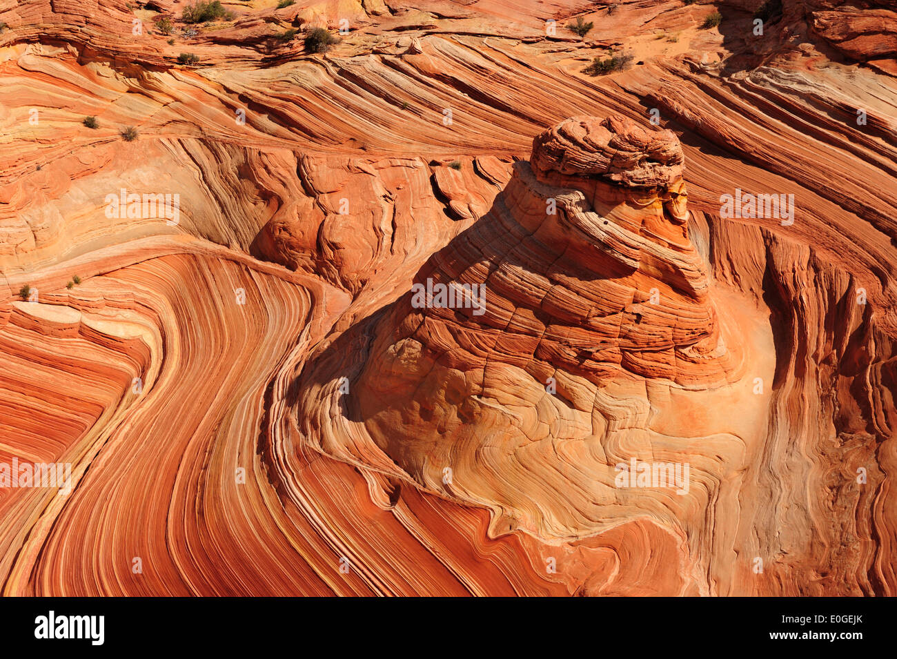 Red sandstone formation, The Wave, Coyote Buttes, Paria Canyon, Vermilion Cliffs National Monument, Arizona, Southwest, USA, Ame Stock Photo