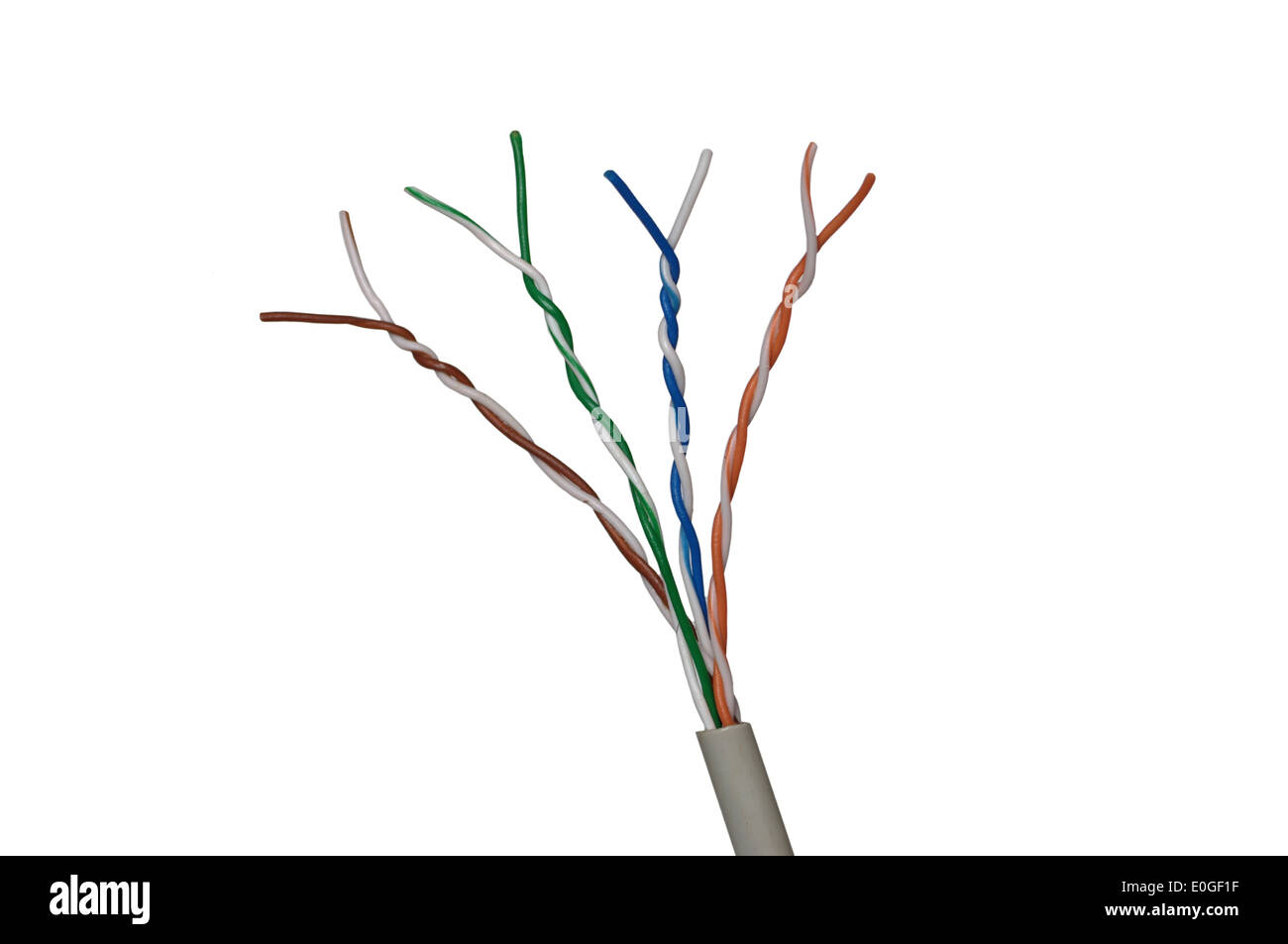 internet cable on white background Stock Photo