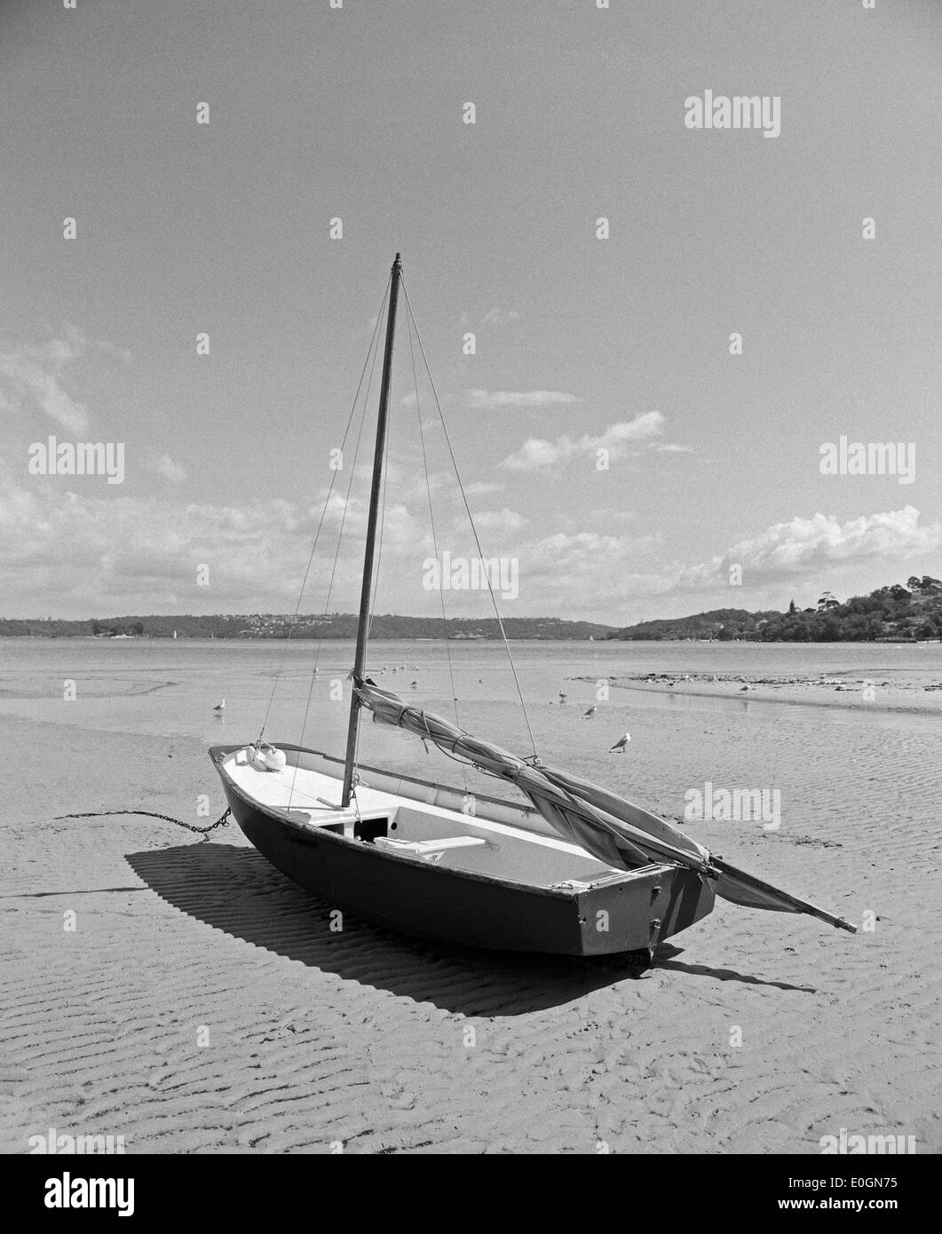 sailing boat at low tide, Rose Bay, Sydney, Australia Stock Photo