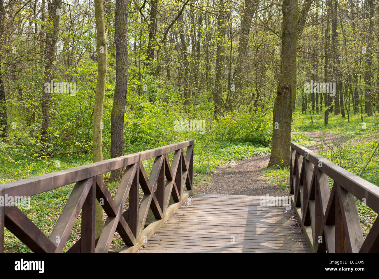 small bridge in the forest in the springtime Stock Photo