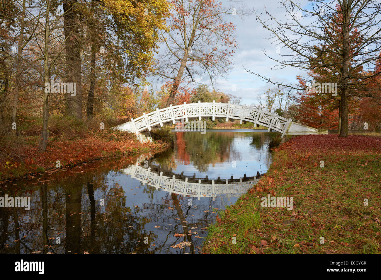 White bridge in Autumn, Woerlitz Garden Realm, Saxony-Anhalt, Germany Stock Photo