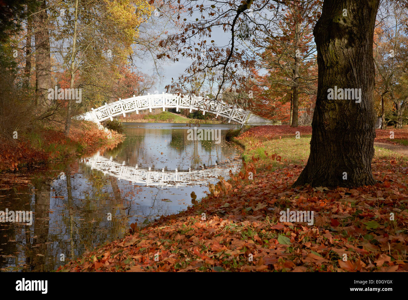 White bridge in Autumn, Woerlitz Garden Realm, Saxony-Anhalt, Germany Stock Photo