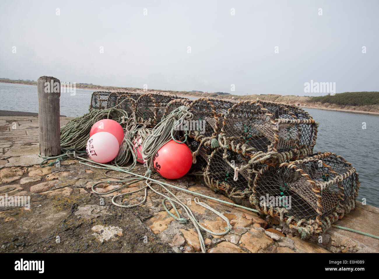 lobster pots and buoys on the quayside at Beadnell harbour Northumberland UK Stock Photo