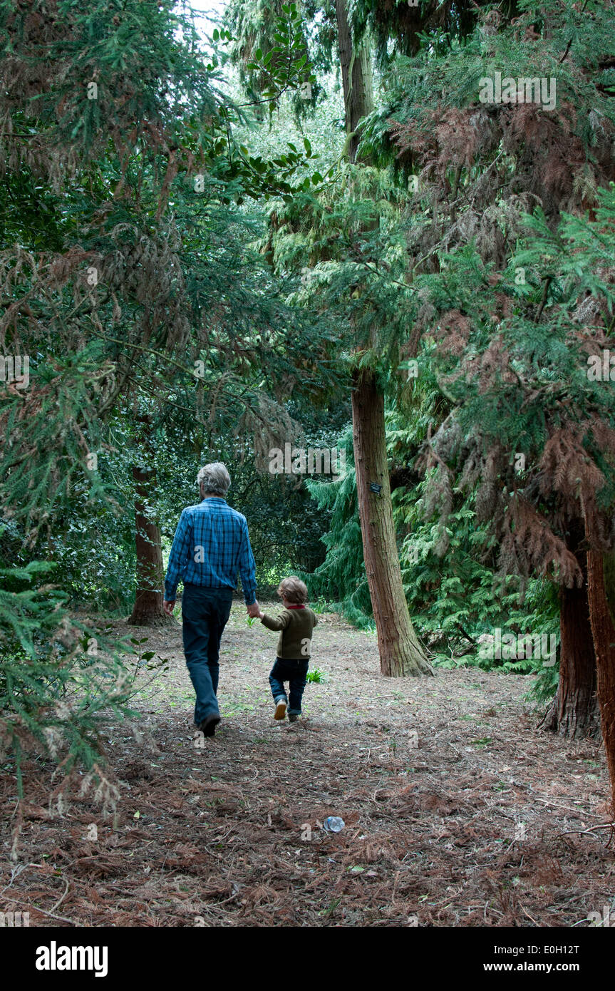 Father and son hiking in forest. Looking at map Stock Photo - Alamy