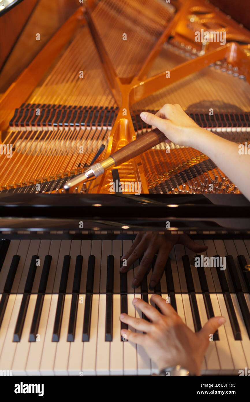 Man tuning a concert piano, Schimmel piano company, Brunswick, Lower Saxony, Germany Stock Photo
