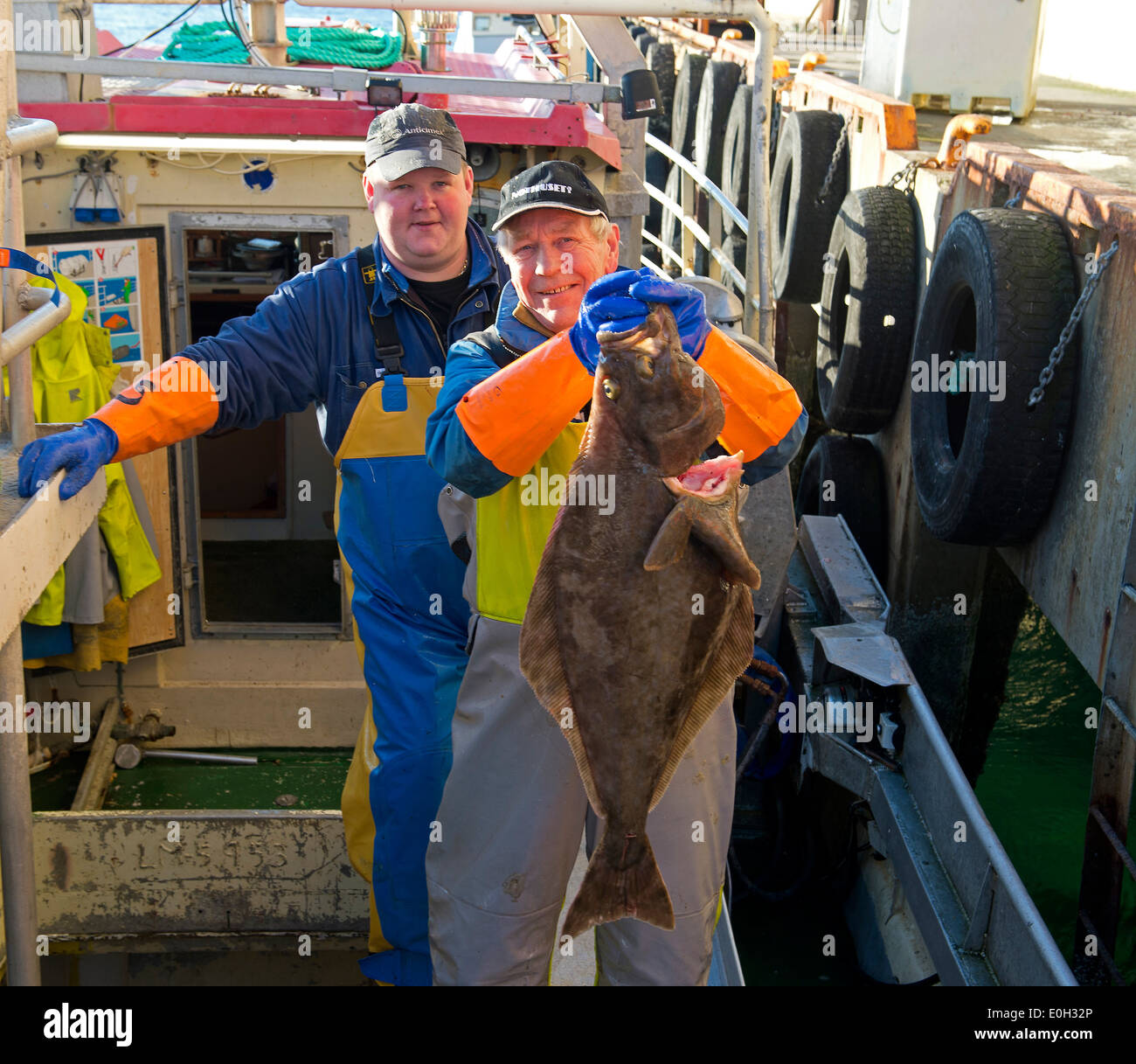 Today's catch, a nice Halibut on board M/S Vaeröyfisk, at Röst, Norway. February Stock Photo