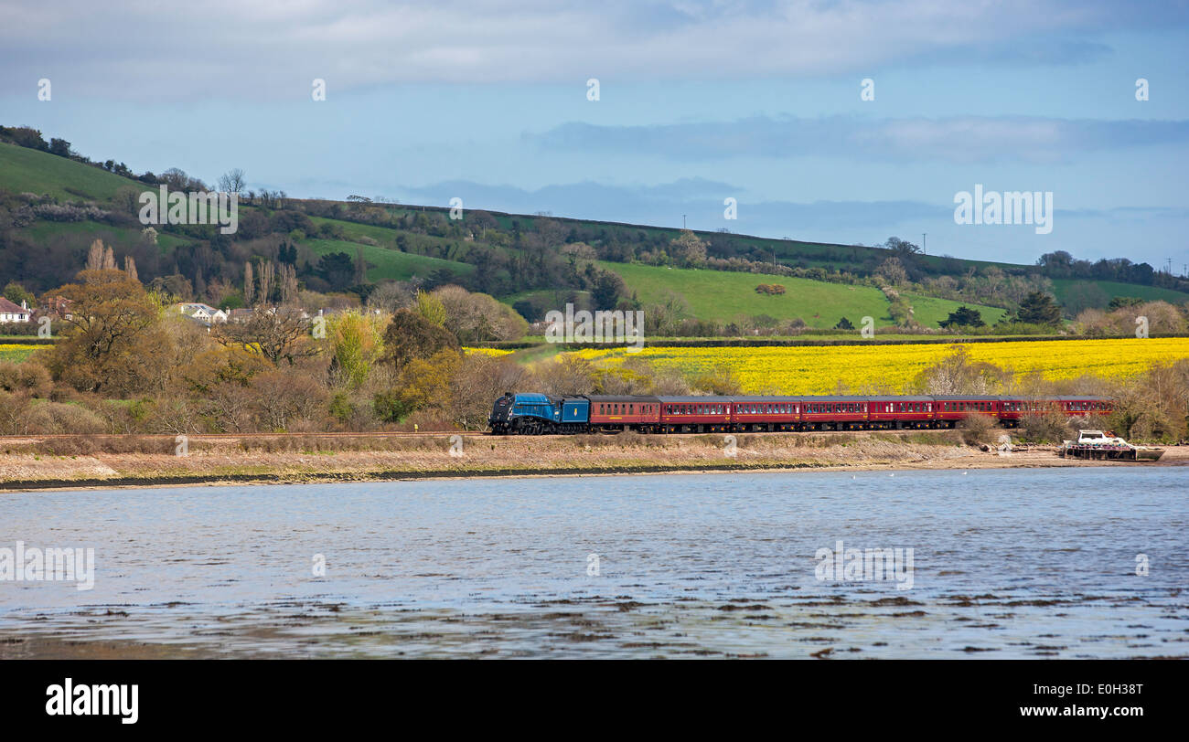 The Cathedrals Express Steaming Along The Teign Estuary Stock Photo