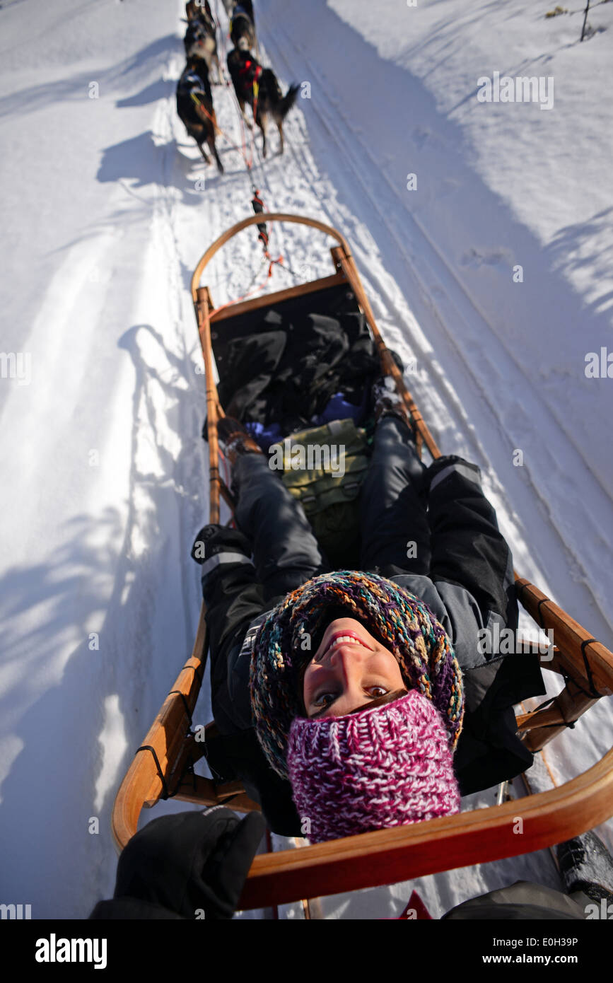 Young woman enjoying wilderness husky sledding taiga tour with Bearhillhusky in Rovaniemi, Lapland, Finland Stock Photo
