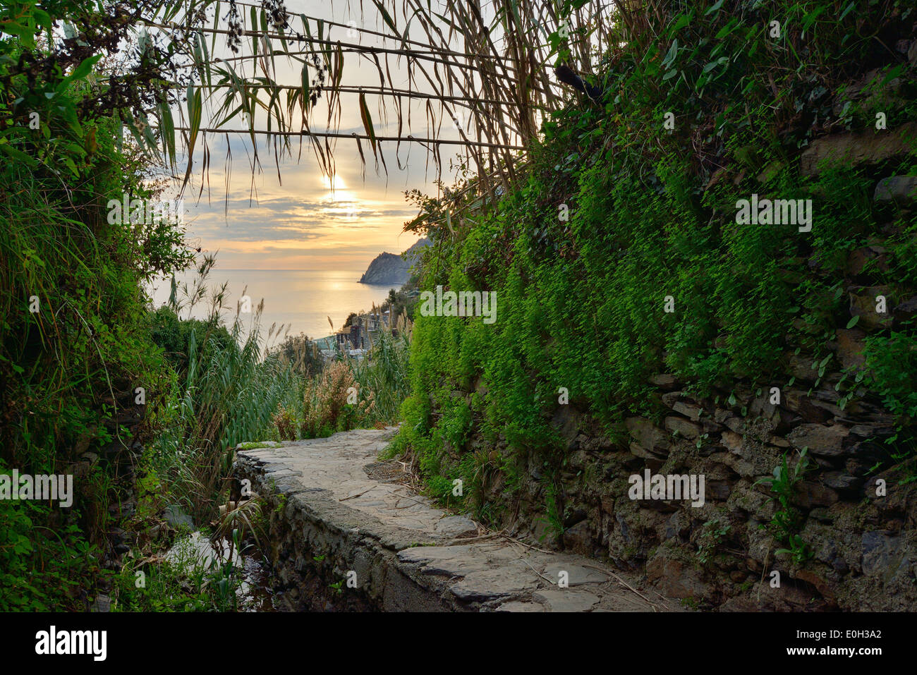 Path bypassing a dry stone wall with view towards the sea, Cinque Terre, National Park Cinque Terre, UNESCO World Heritage Site Stock Photo