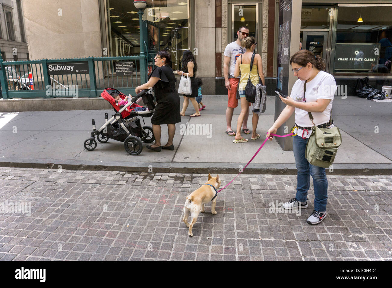 girl walking dog on Wall street in lower Manhattan where diverse passers by include tourist couple & woman pushing baby stroller Stock Photo