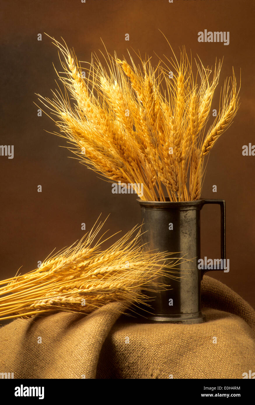 Still life of wheat Stock Photo