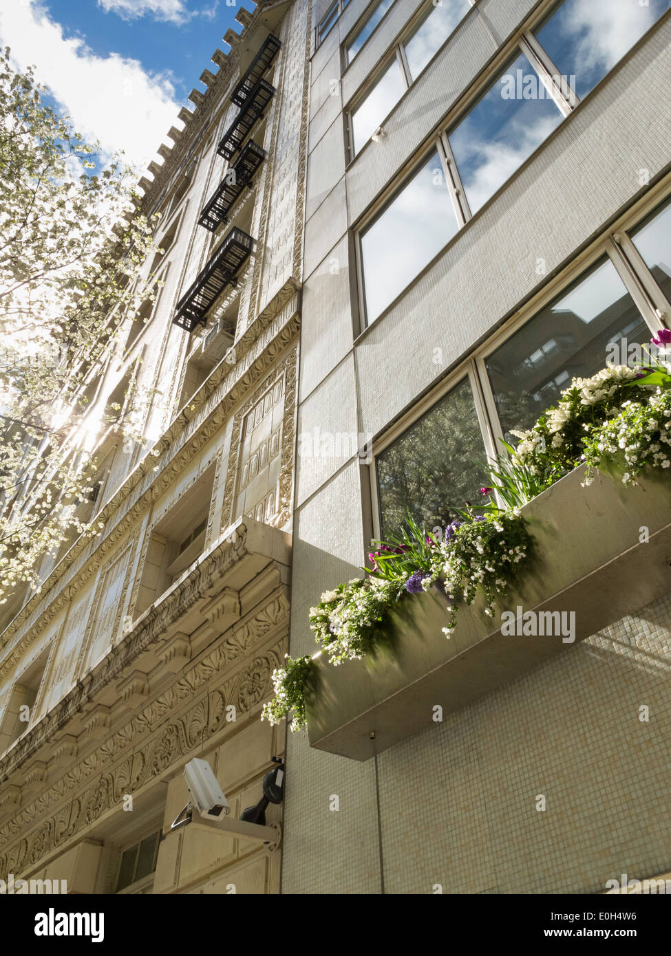 Window Boxes on an Upscale Residential Building Facade, Upper East Side