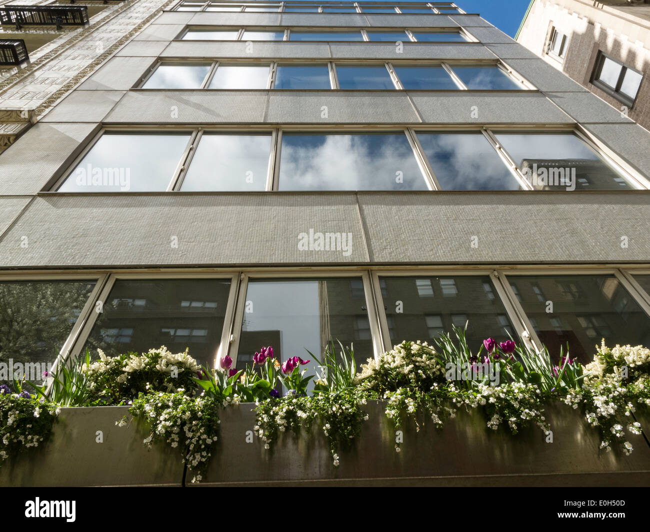 Window Boxes on an Upscale Residential Building Facade, Upper East Side