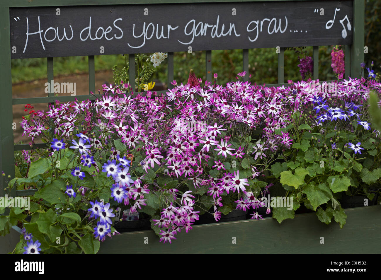 how does your garden grow in garden centre of Osborne House, Isle of