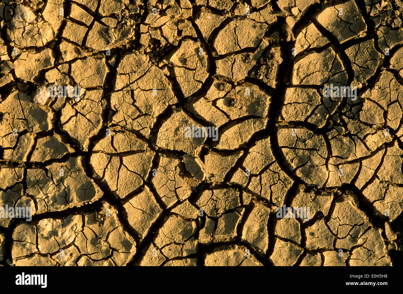 Climate change and drought impacts hi-res stock photography and images ...