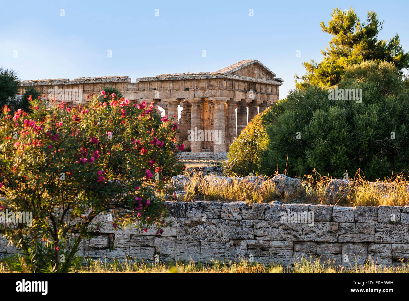 Poseidon Temple, Neptune Temple, historic town of Paestum in the Gulf of Salerno, Capaccio, Campania, Italy, Europe Stock Photo