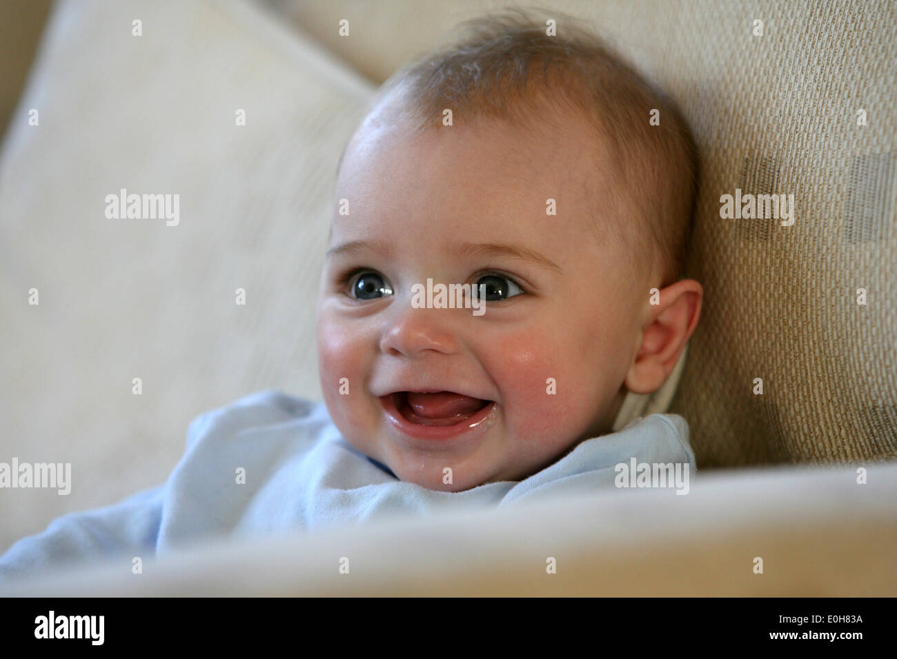 12 TWELVE MONTH OLD BABY BOY LEARNING TO CRAWL Stock Photo Alamy