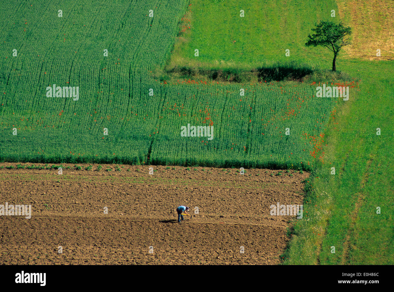 Farmer field agriculture hi-res stock photography and images - Alamy
