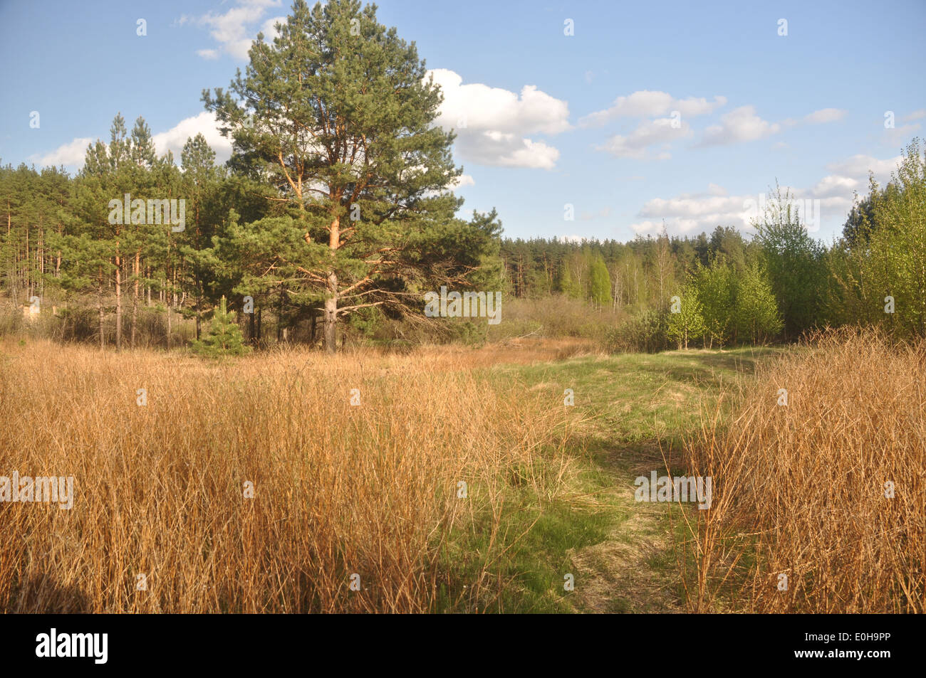 National Park 