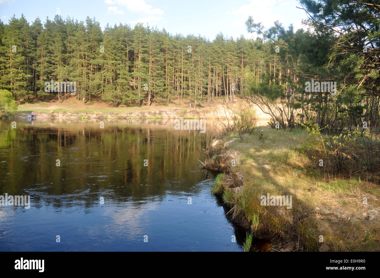 Spring landscape forest river. National Park 